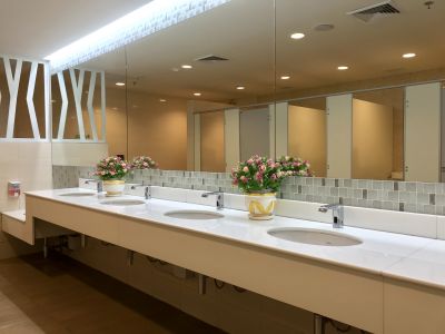Elegant Vanities